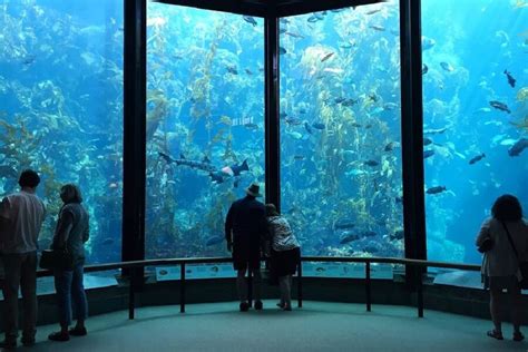 monterey bay aquarium tickets